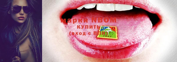 шишки Верхний Тагил
