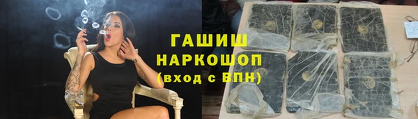 a pvp Бородино