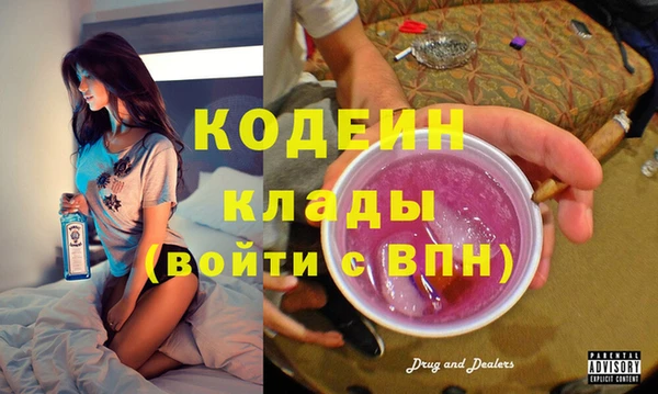 шишки Верхний Тагил