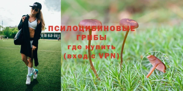 2c-b Бронницы