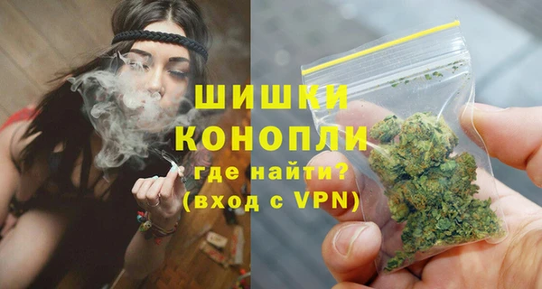 a pvp Бородино