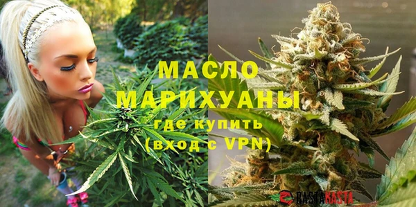 шишки Верхний Тагил