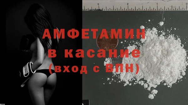 шишки Верхний Тагил