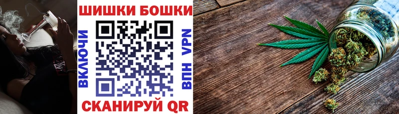 как найти Георгиевск Каннабис сатива